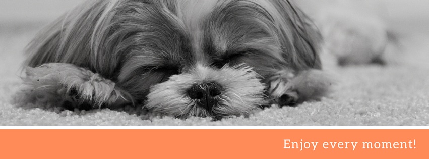 Adventures Begin here. Now.